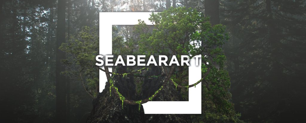 A white square frame overlays a moss-covered tree in a misty forest, with “SEABEARART” centered inside as part of a banner design